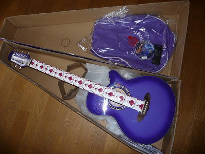 アコギ Gypsy Rose おしゃれでかわいいギター