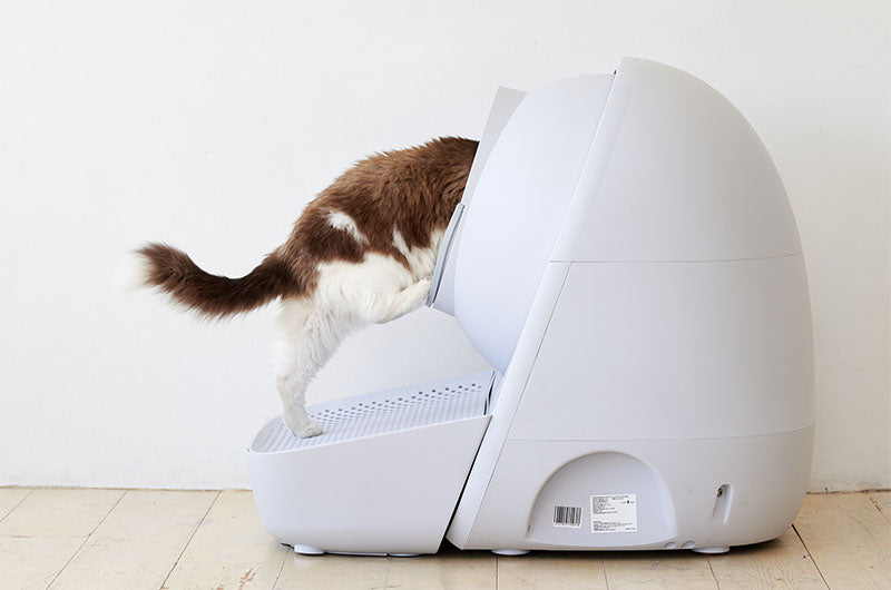 自動猫トイレに事故の危険はある？『CATLINK SCOOPER』の安全性を検証