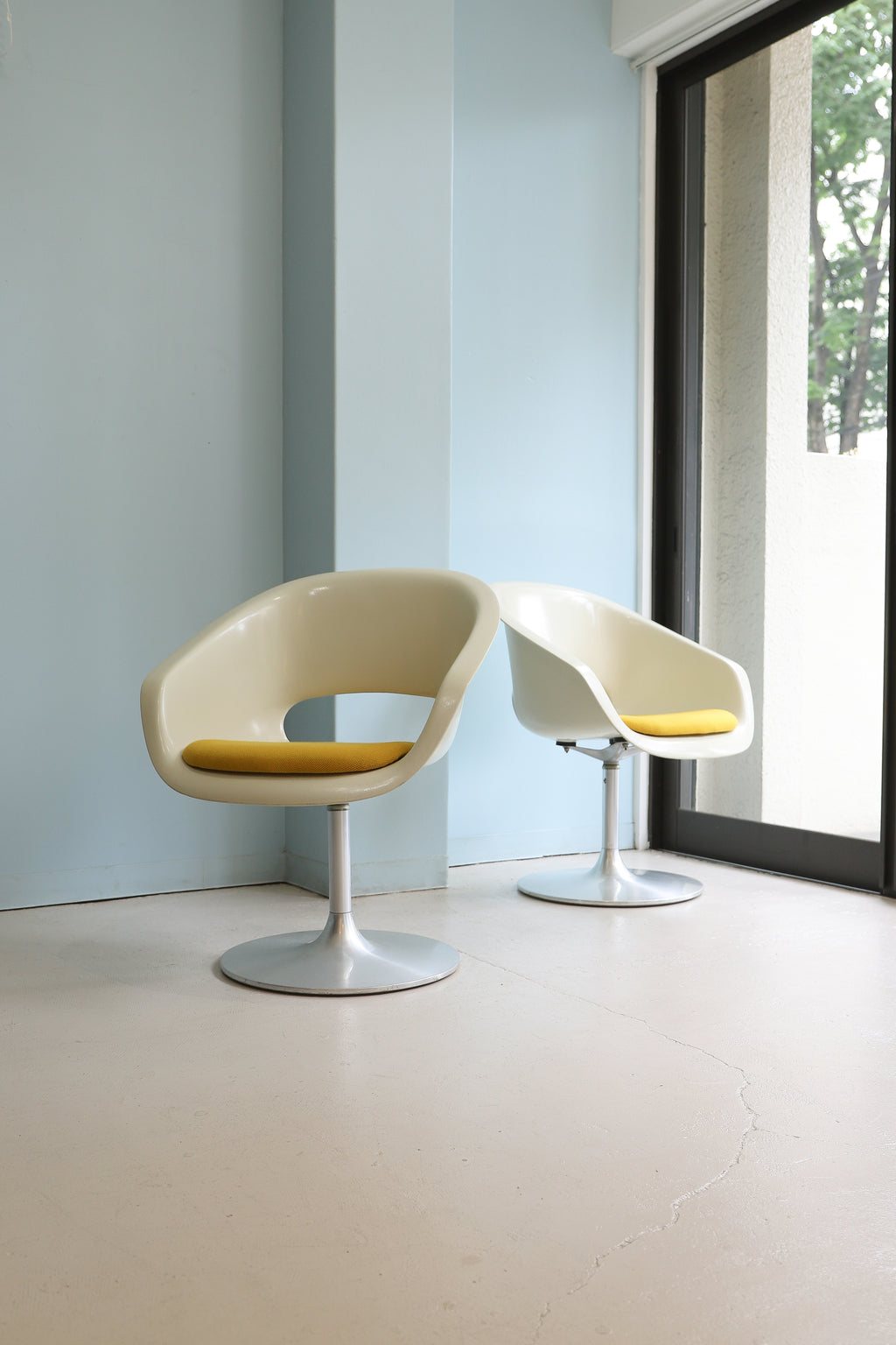 2IMG_1075_1024x.jpg?v=1686043642