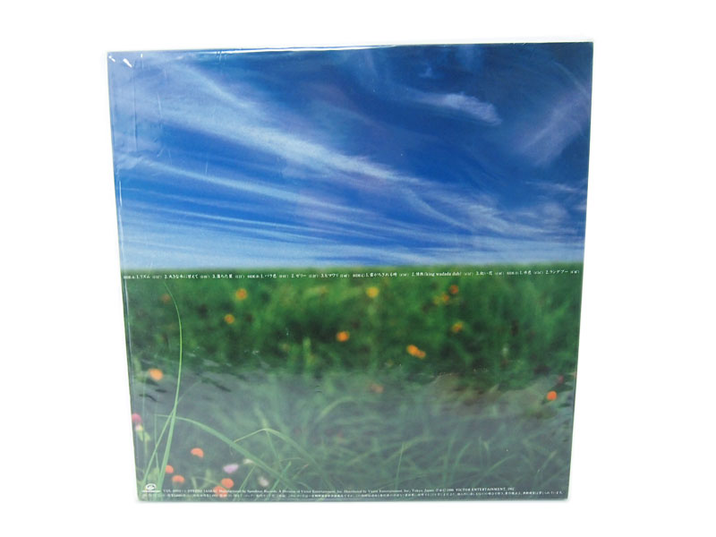 UA 初回限定盤 '11'12inch 2枚組 LP レコード アルバム イレブン