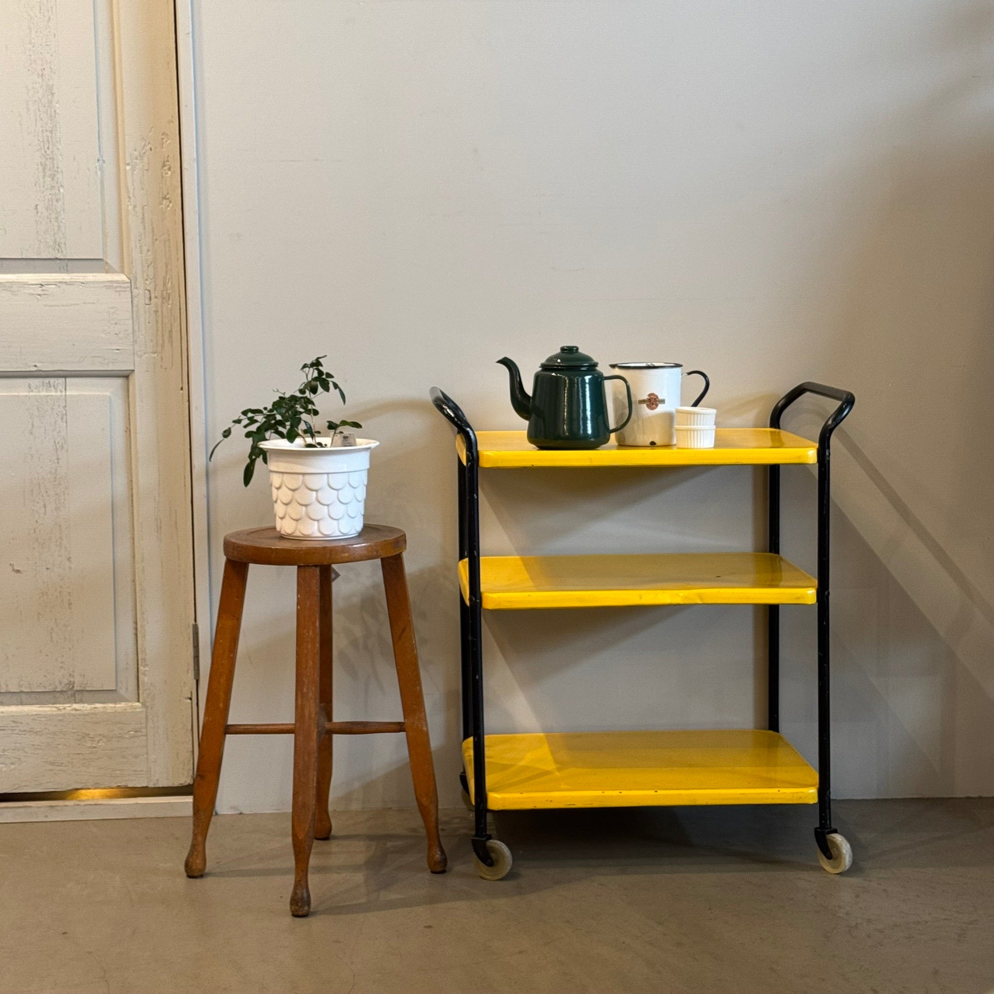 S__78061641.jpg?v=1741875545