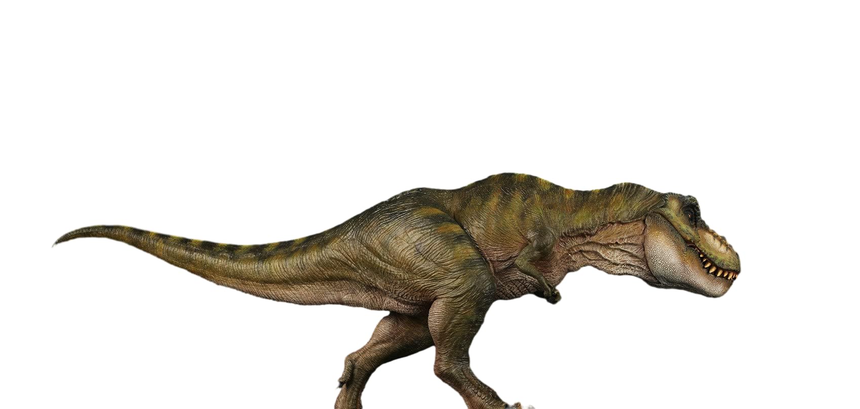 Nanmu 本心楠改 1/35 サイズ ティラノサウルス レックス 恐竜 リアル