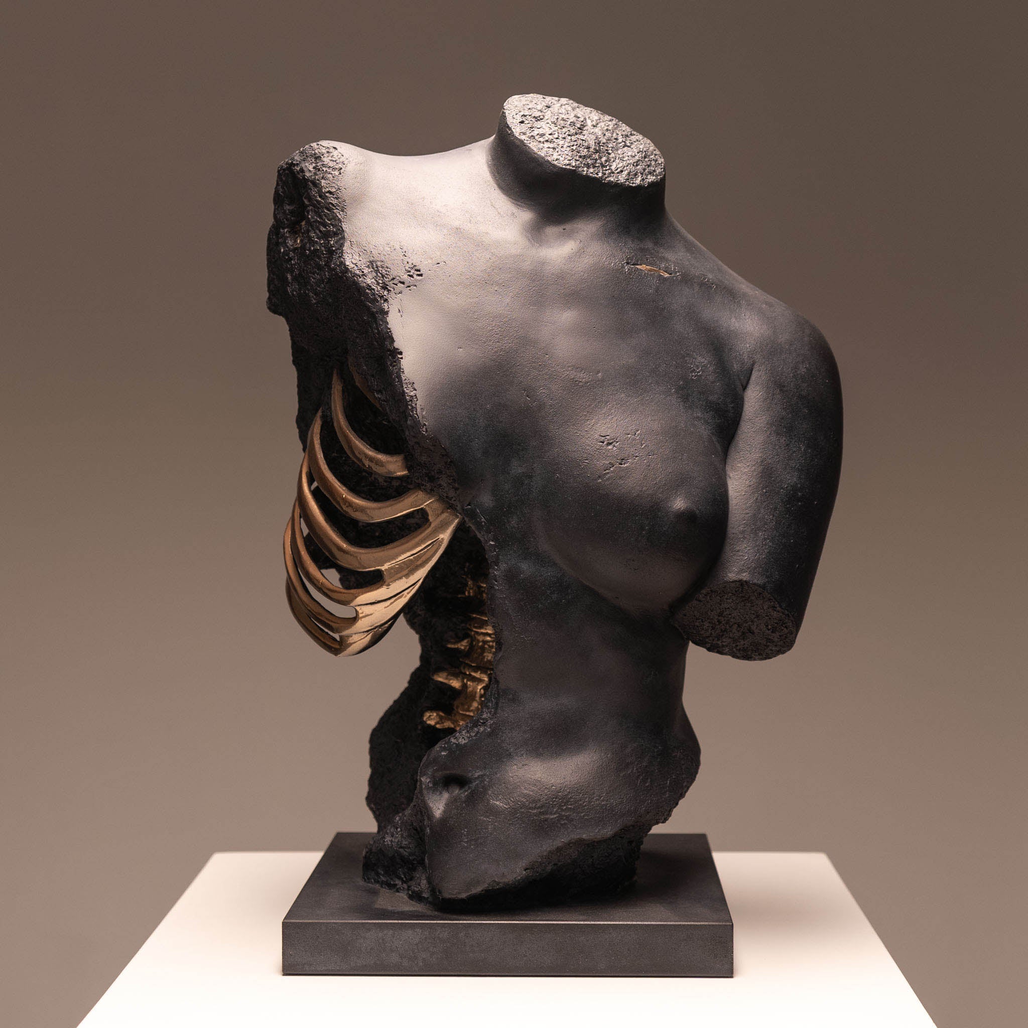 Venus & Gaddi – Jack of the Dust