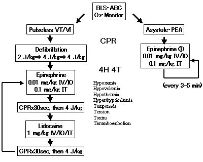 JSPICC - 日本小児集中治療研究会 | PALS 小児二次救命処置法 (AHA
