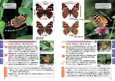 日本産チョウ類のフィールドガイド