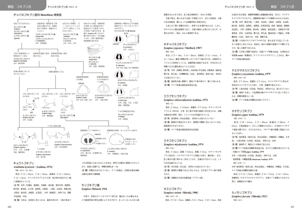日本産直翅類標準図鑑