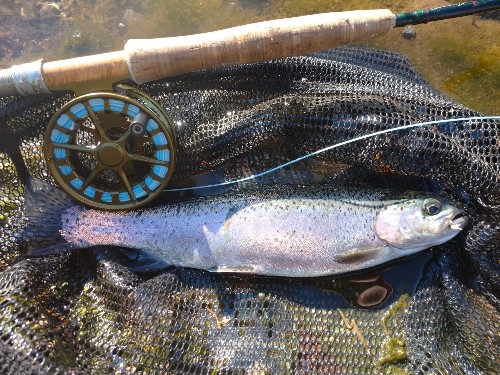 W/L（ウォーターワークスラムソンフライリール）、GURU-Sのご紹介