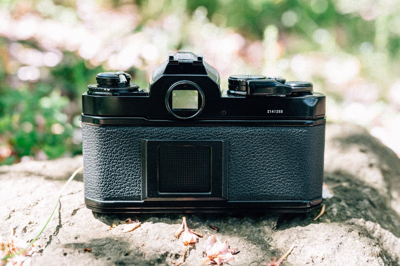 ニコンのフィルムカメラFE2を買いました！仕様や撮った写真を載せてみ