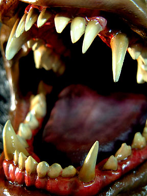 □VOLKS 1/1 デビルマンヘッド 守護神□