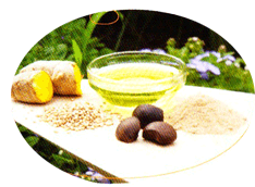 美らさーやな 55ml - ホリスティックウェルネスのオンラインショップ