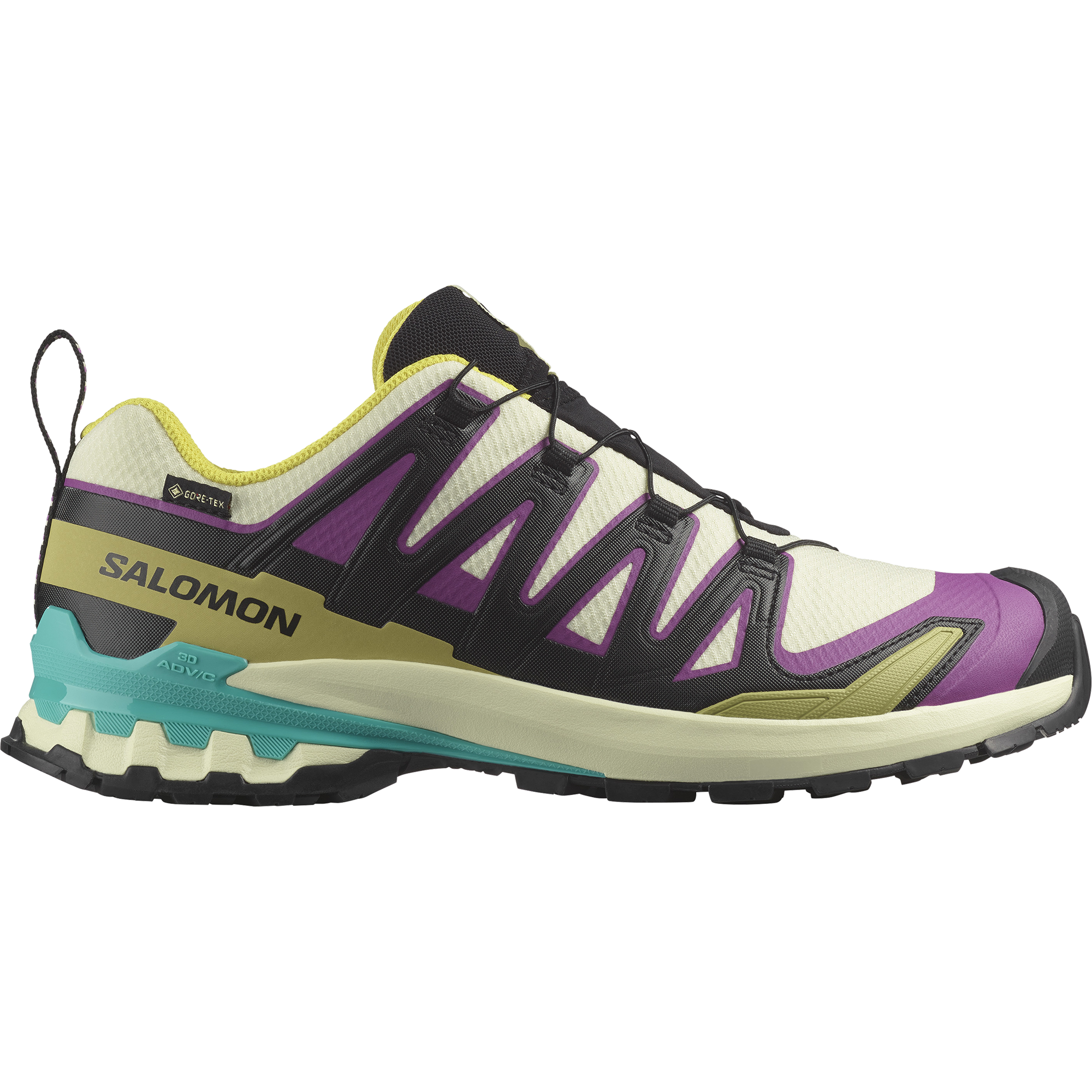 XA PRO 3D V9 GORE-TEX – サロモン公式オンラインストア