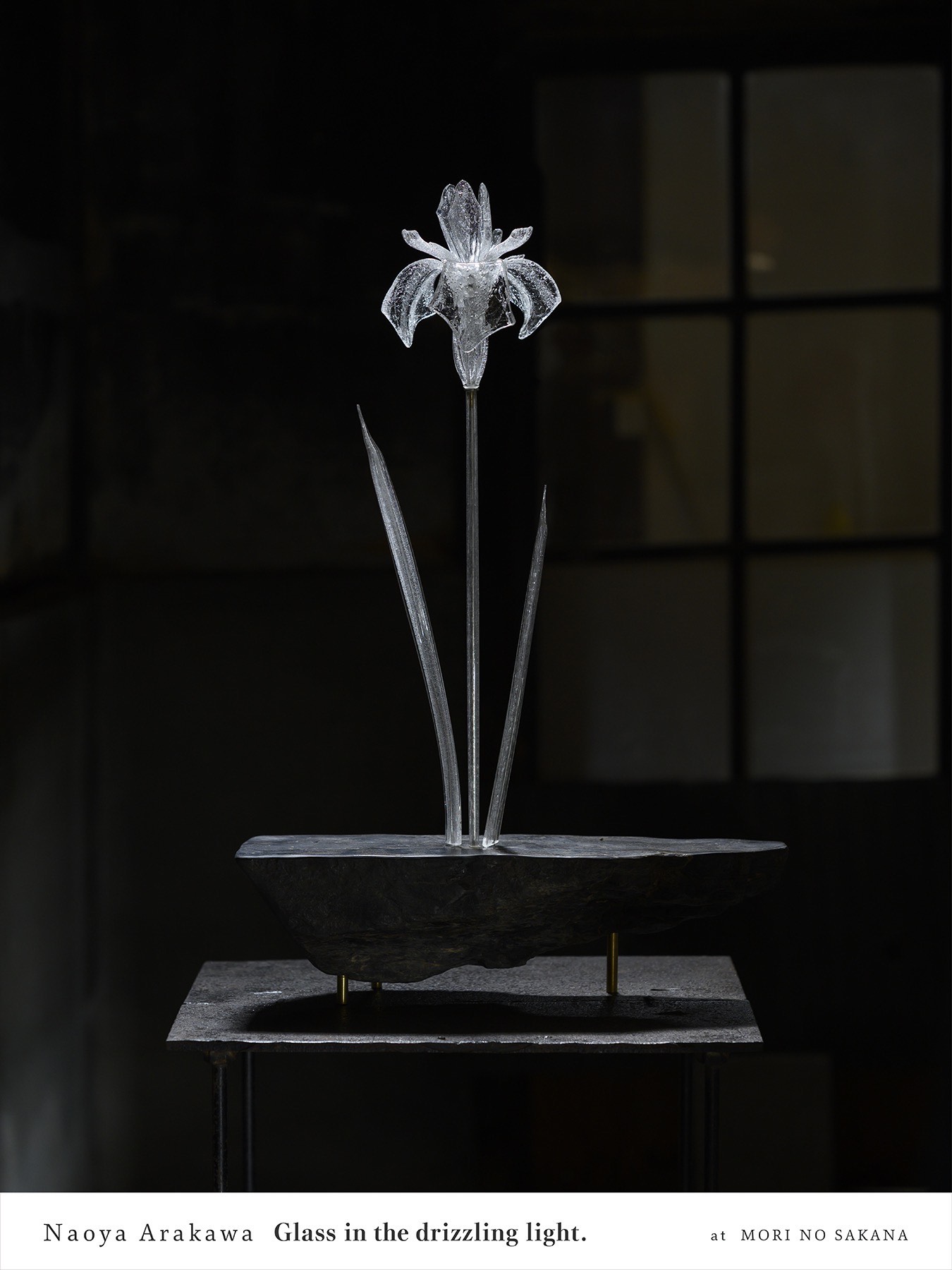 荒川尚也｜Glass in the drizzling light.｜Gallery 森の魚 京都府