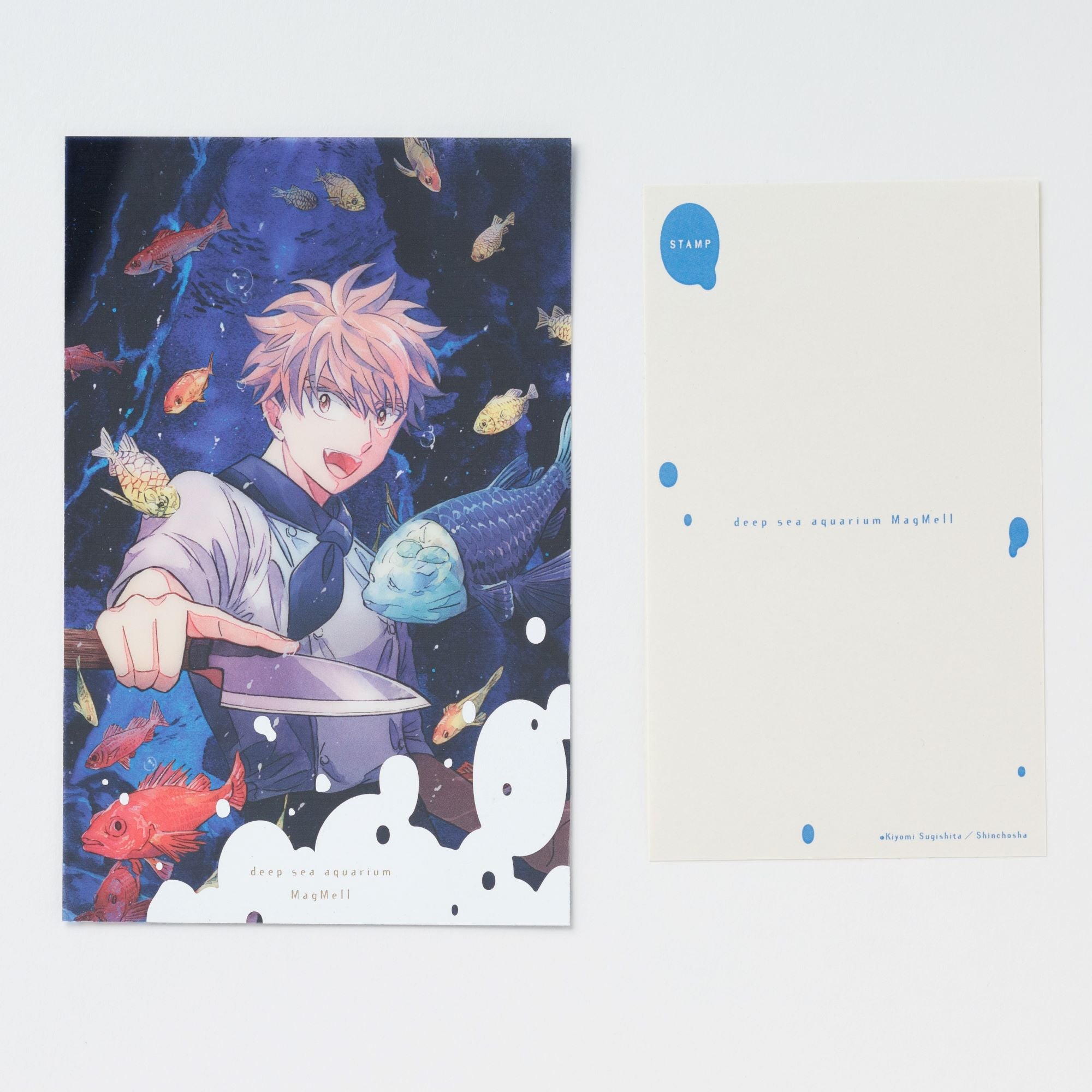 マグメル深海水族館』クリアポストカード⑥（堂ヶ島嵐） – 新潮ショップ