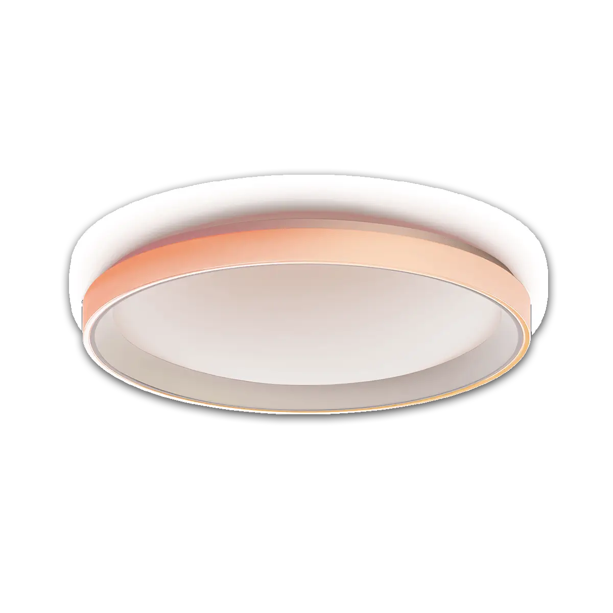 Ceiling Light T1M – Aqara LLC