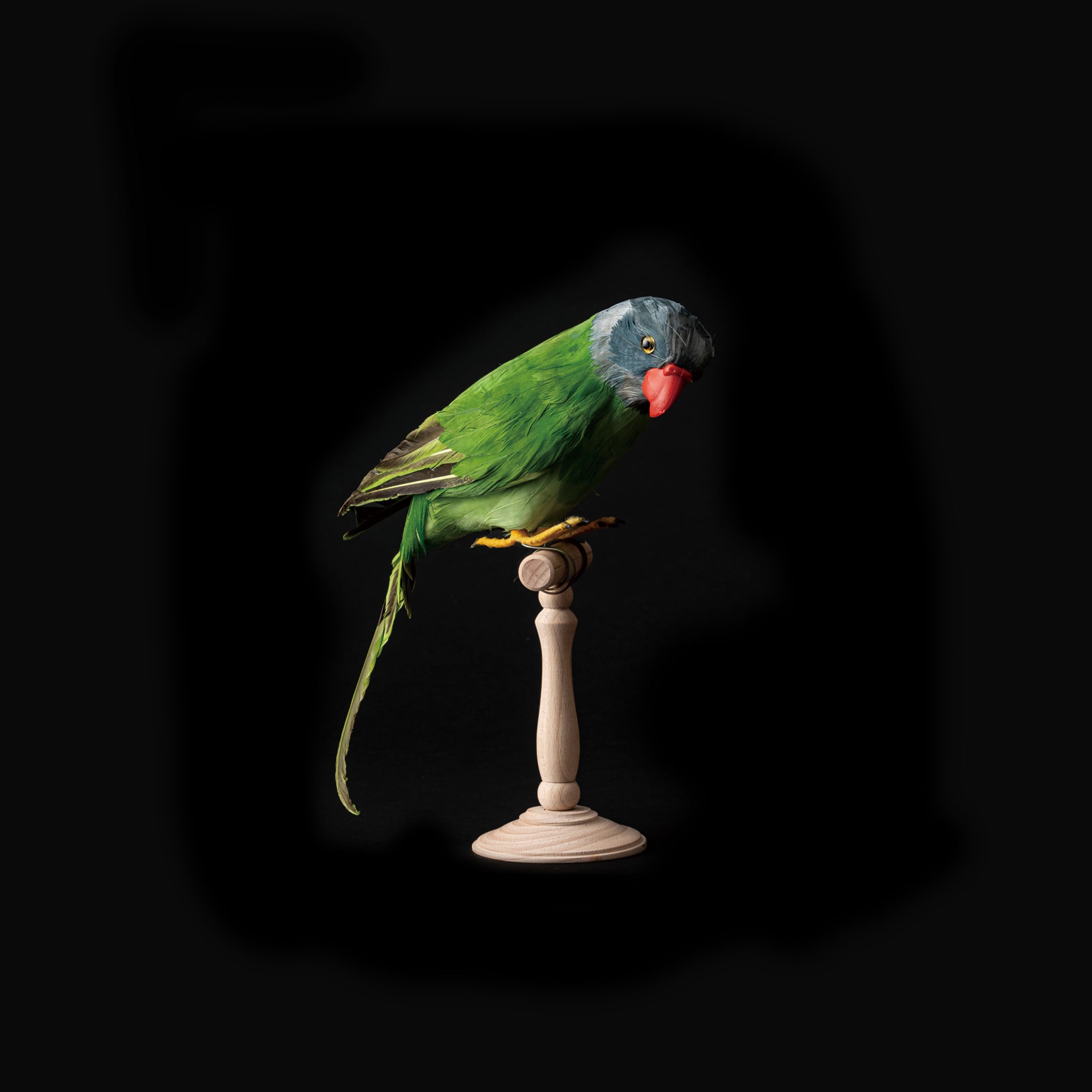 ARTIFICIAL BIRDS Green Parrot – PUEBCO ONLINE STORE