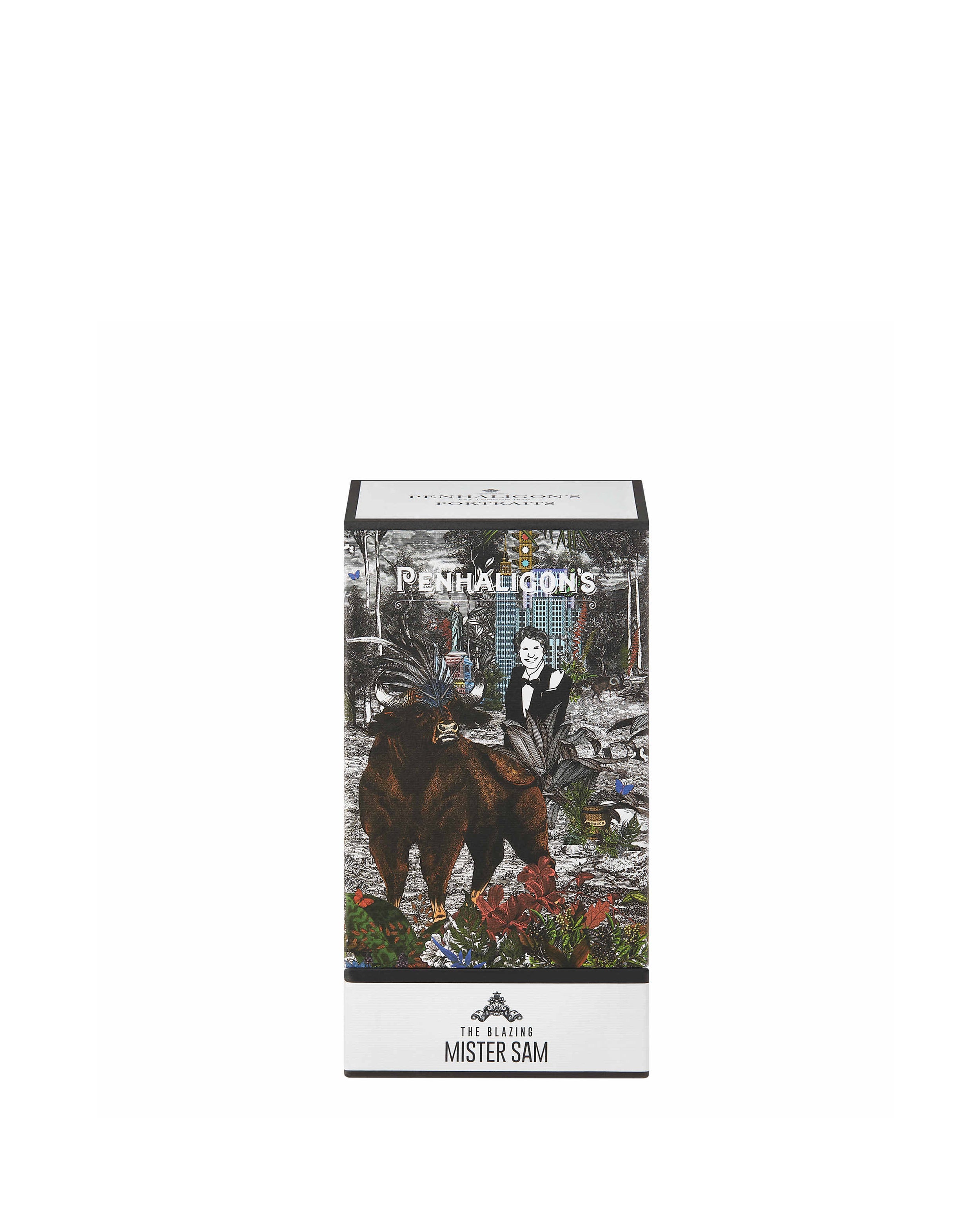 The Blazing Mister Sam – VIOLET GREY