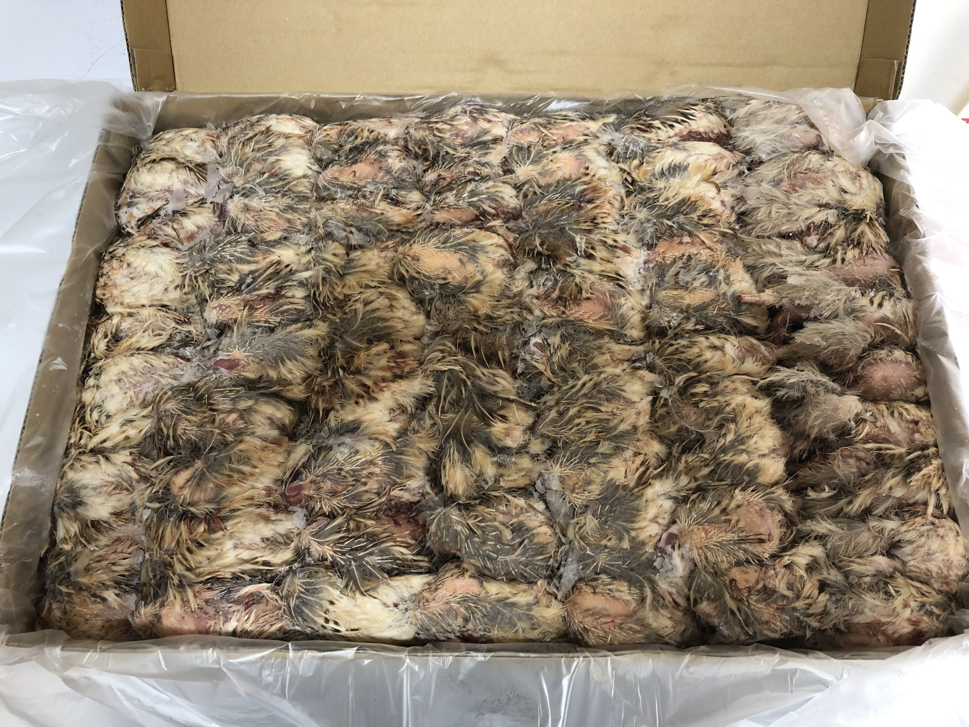 フクロウの餌｜冷凍ウズラ・カットウズラ・ウズラのミンスの販売・通販