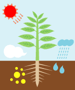 電子水・粉末よもぎ・備長炭の事ならMOG野田