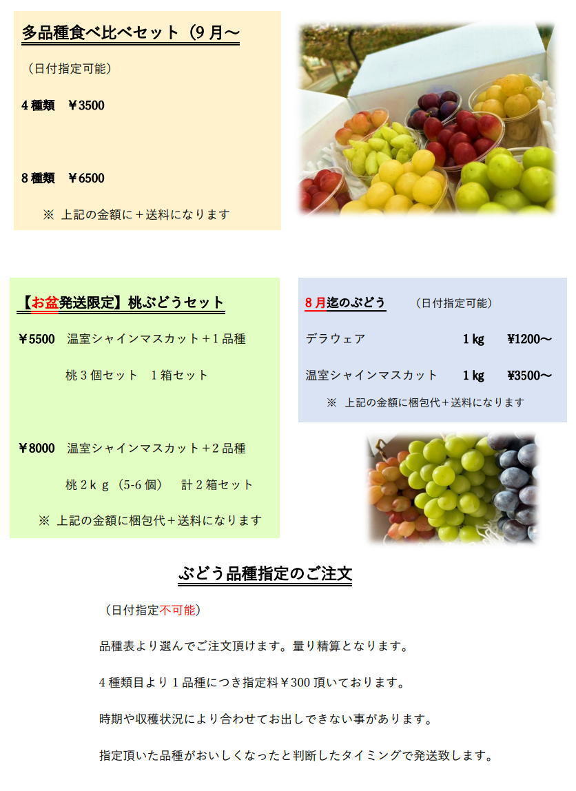 みはらしの千果園】ぶどう発祥の地、勝沼から朝採り新鮮なぶどうを発送