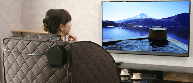 株式会社ノイフルス/低周波・電気マッサージ組合せ家庭用医療機器