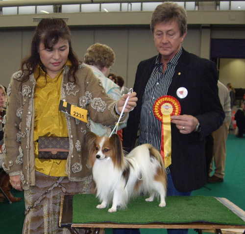 BIS Ch AmCh Patch|パピヨンのトップブリーダー