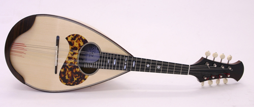 宮野厚志 手工マンドリン | ロッコーマン株式会社