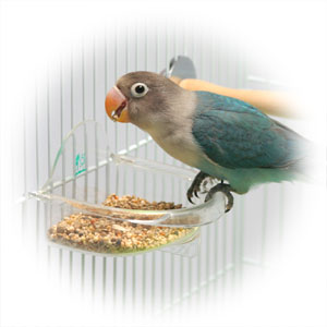 浅型バード食器L ｜ 株式会社三晃商会