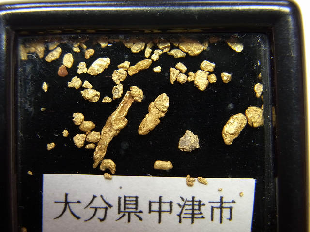 ささやかな砂金コレクション