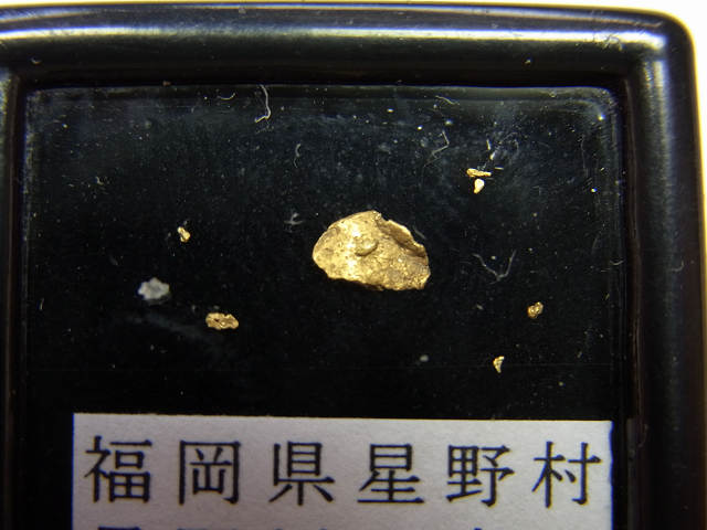 ささやかな砂金コレクション