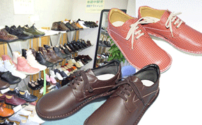 健康・環境・介護予防｜靴内環境歩行改善協同組合えこる