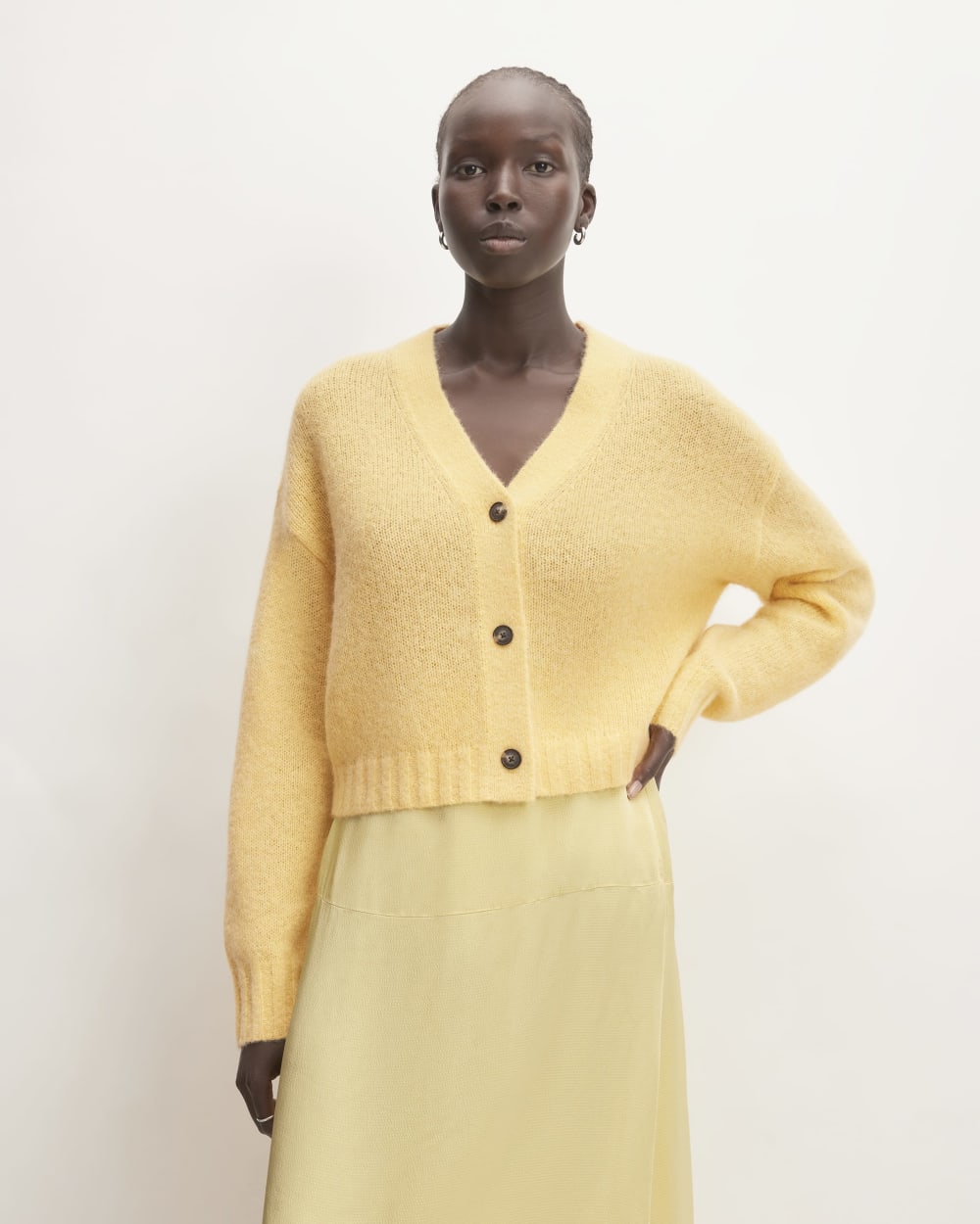 The Alpaca V-Neck Cropped Cardigan | Raffia – Everlane