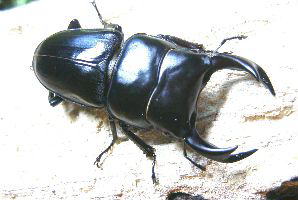 三重県スペシャル