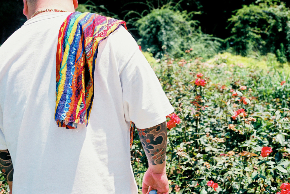 定休日、夜のブログは新ブランド