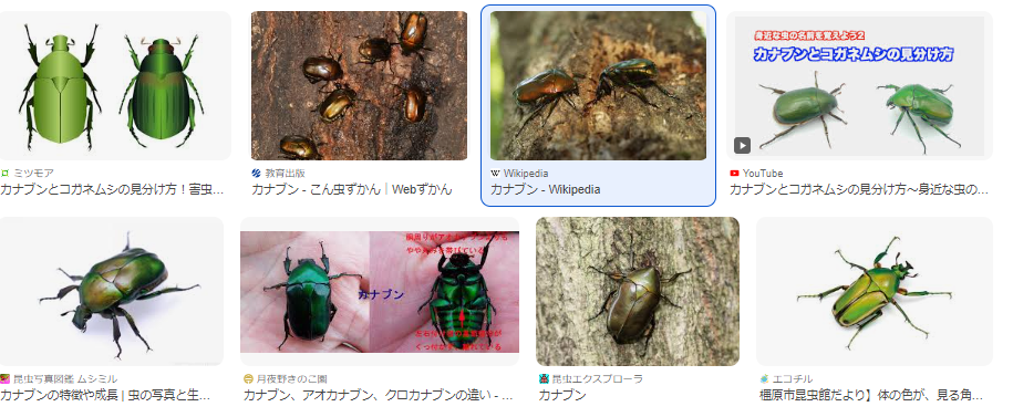 古代エジプトスカラベ(フンコロガシ)刻『人物像』メノウ瑪瑙印章 古代