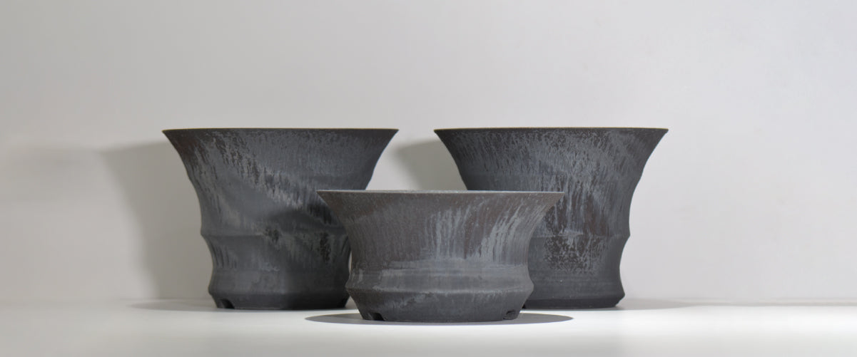 HACHILABO - A store specializing in tuberous plants, ornamental