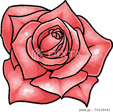 手描きベクターイラスト素材】赤い薔薇のイラストのイラスト素材