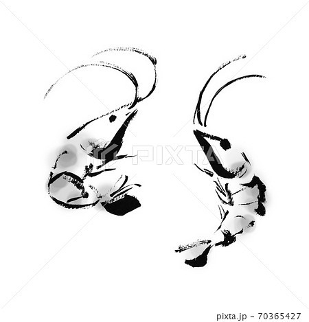 小海老が二匹跳ねている手描き筆書きの和風イラストのイラスト素材