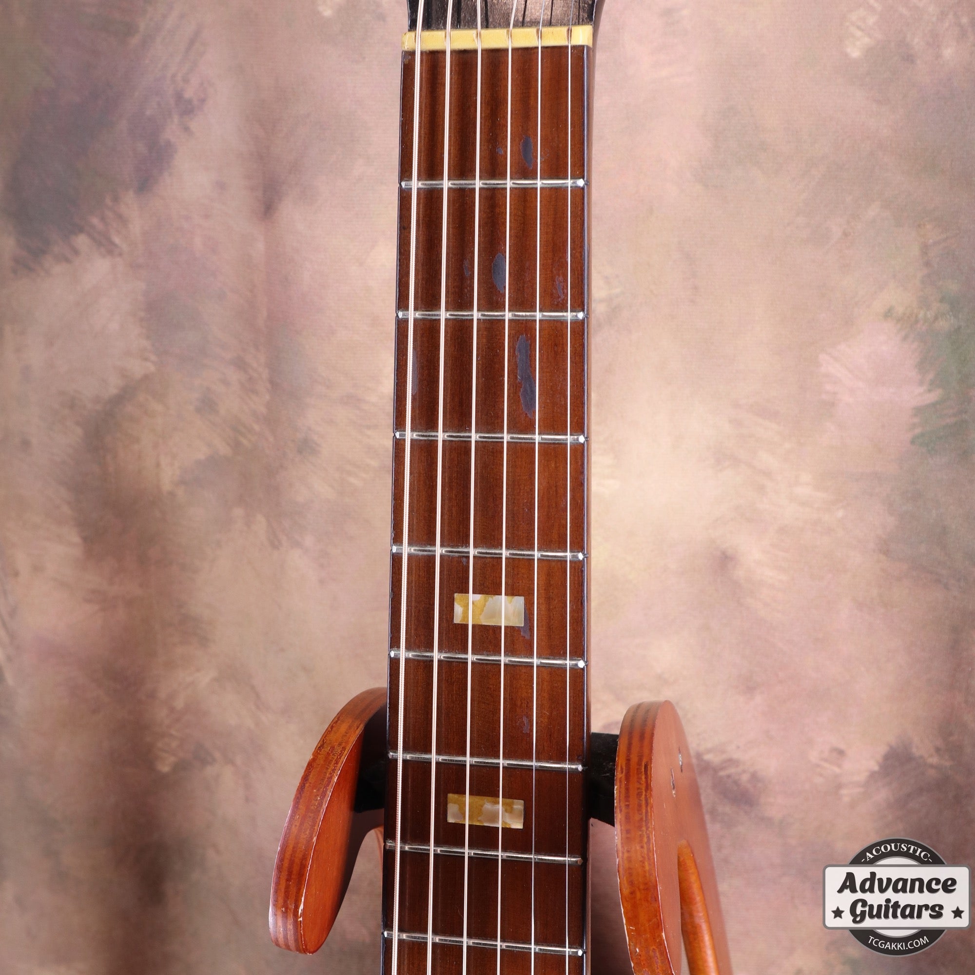 Dynamic Guitar No.80