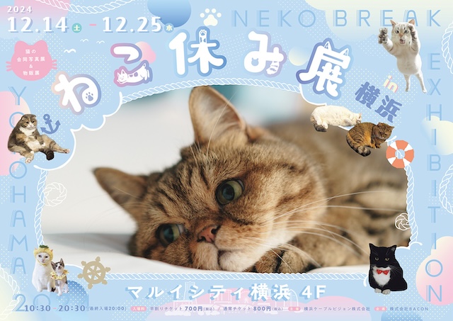 猫の祭典「ねこ休み展 in 横浜」】2年ぶり・12月14日から開催！早割