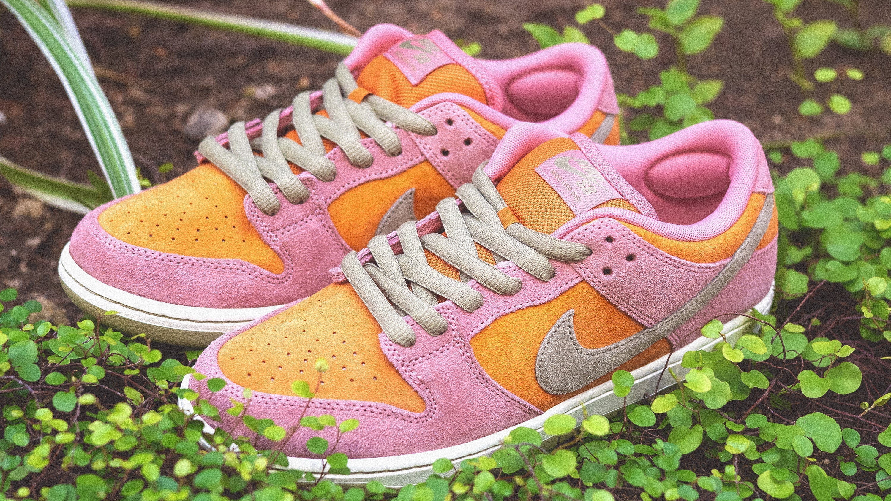 NIKE SB DUNK LOW QS 