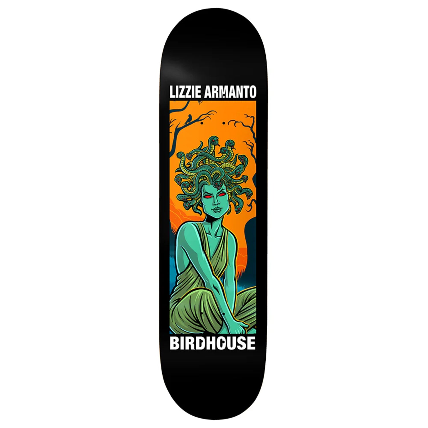 BIRDHOUSE SKATEBOARDS（バードハウス スケートボード
