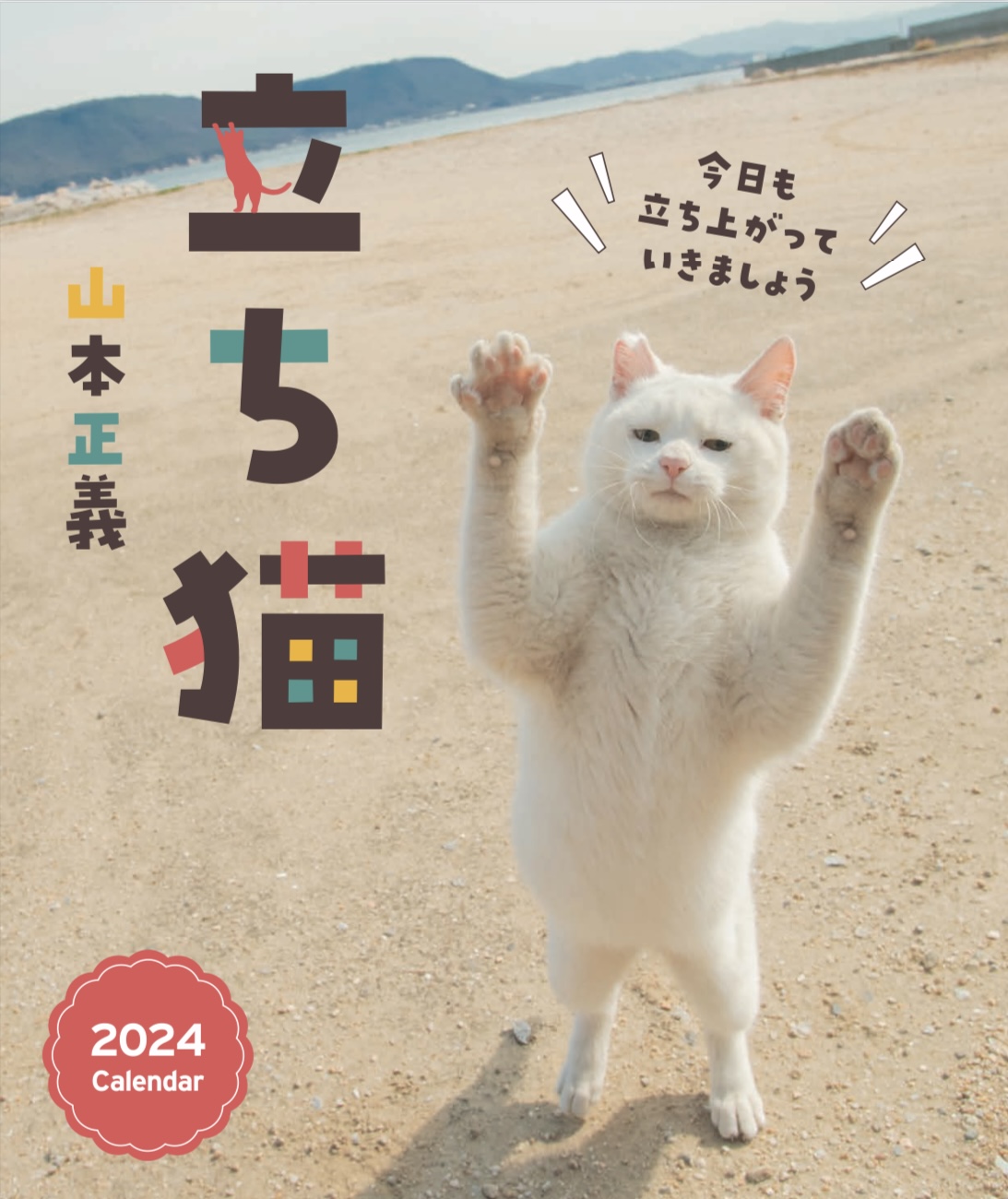 カレンダー】立ち猫カレンダー2024（緑書房） | 立ち猫®︎ 写真家