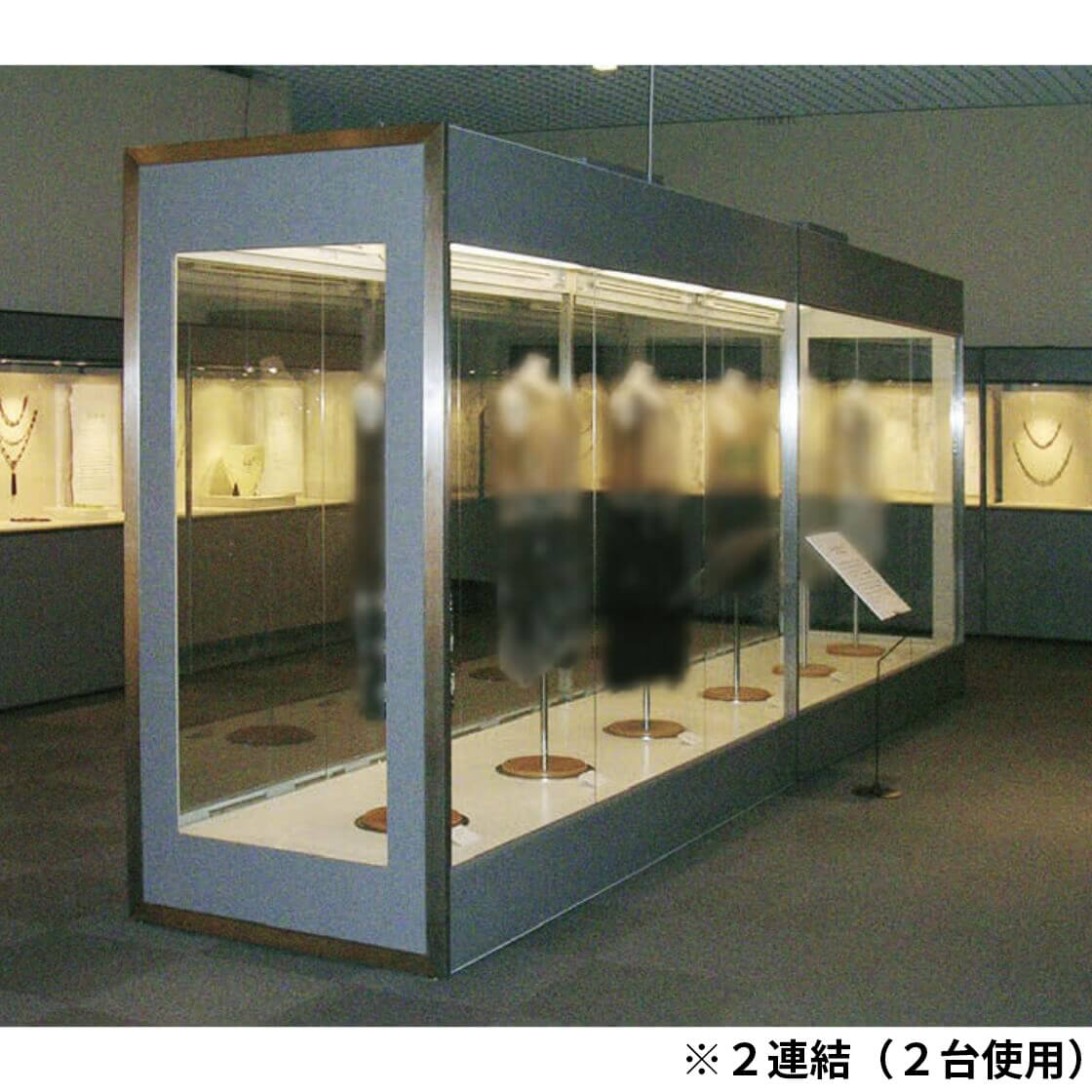 美術ケースのレンタルならおまかせミュージアム 両面展示ケース｜株式
