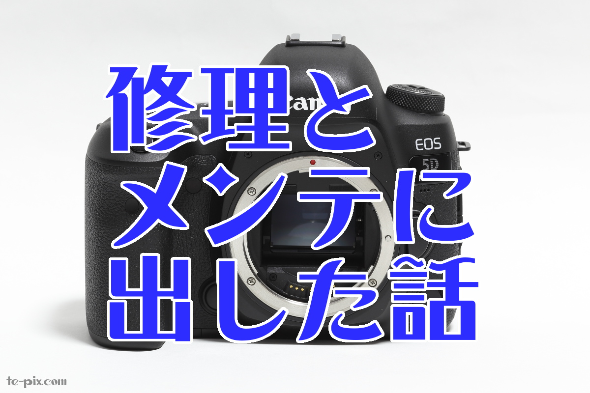 5D Mark IVの修理と「あんしんメンテプレミアム」を利用してみた | て