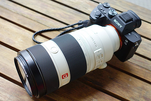 α7III”で撮る『シマリスとあじさい』 - ソニーの新商品レビューを随時