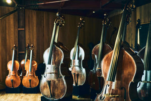 THOMASTIK（トマスティック）BELCANT（ベルカント）コントラバス弦