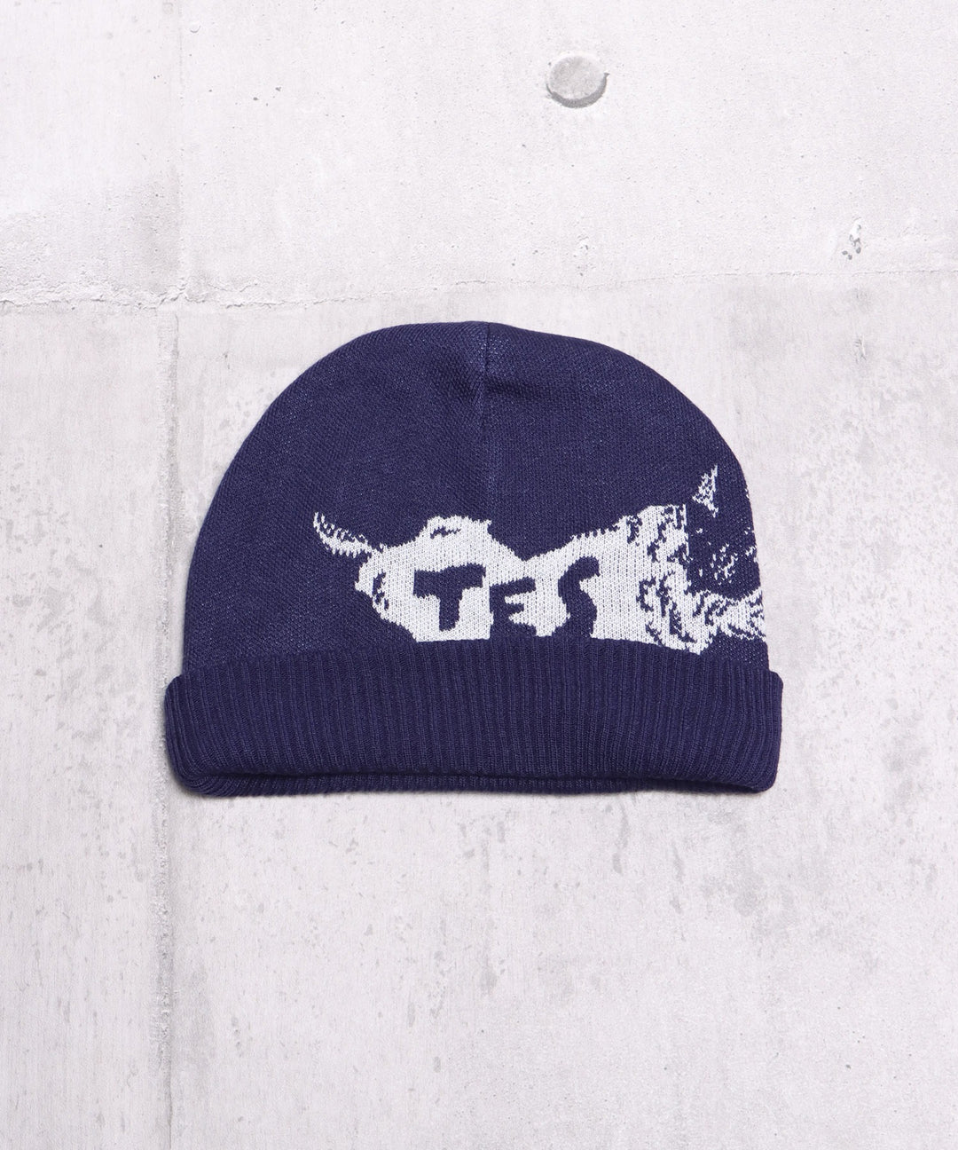 TES BUHI JQ KNIT CAP / ニットキャップ – TES | THE ENDLESS SUMMER