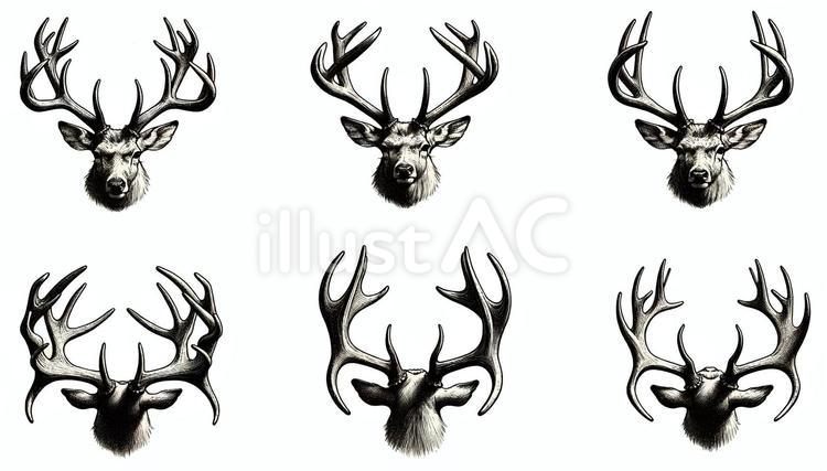 鹿の角をいろんな角度から見た素材01イラスト - No: 24675671｜無料