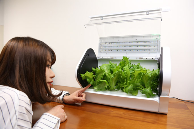 IoTのチカラ】ズボラな私がスマホで「やさい」を育てた25日間の愛の