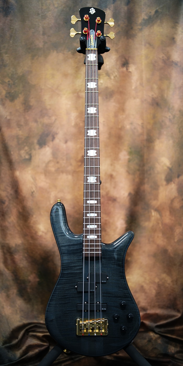 New! / ベース専門店 タイズストア